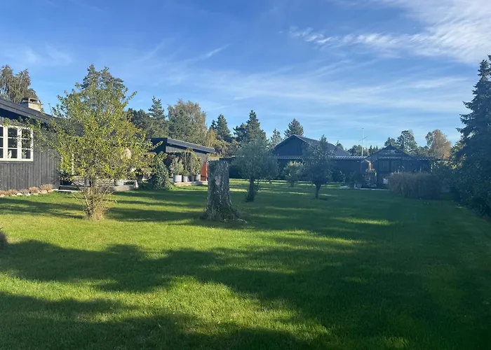 Laekkert Ved Marielyst