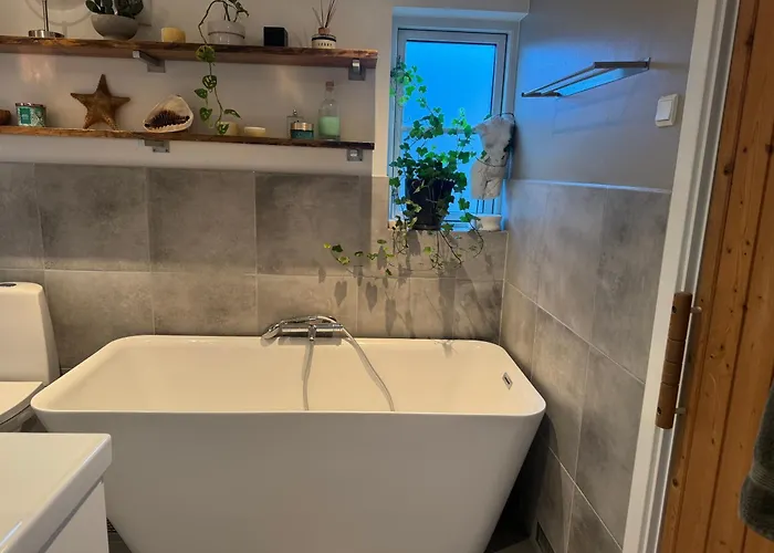 Laekkert Ved Marielyst *